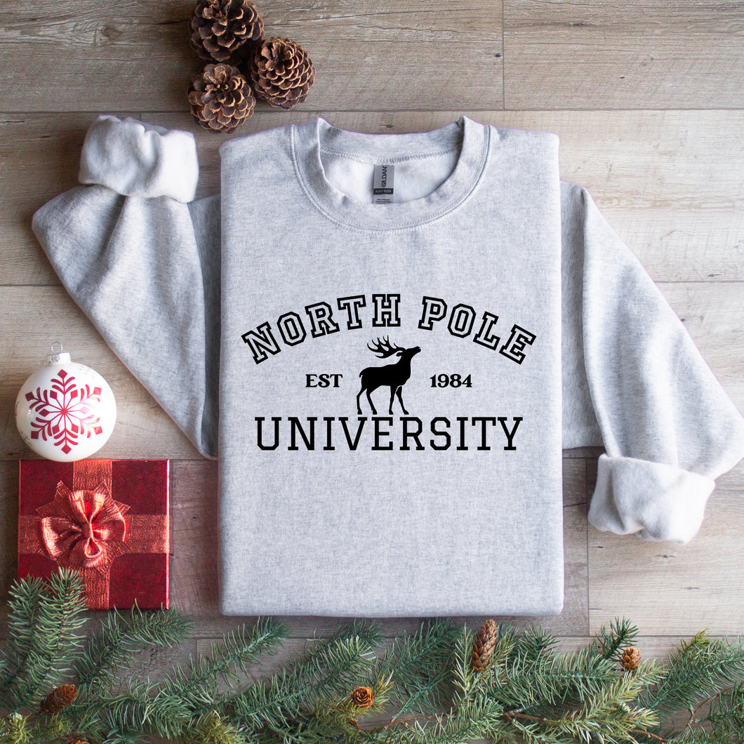 North Pole University